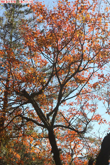 2013_1206_101715 2013_1206_101715