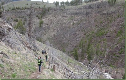 ColumnarBasalt CliffsAlongBlack TailCreek ColumnarBasalt CliffsAlongBlack TailCreek