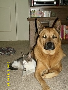 Natasha and Susie Q, North Hollywood, California. Natasha and Susie Q, North Hollywood, California.