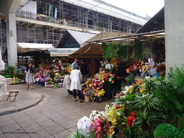 puestos-de-flores-en-el-mercado-de-bolhao-en-oporto.JPG