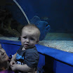 Cornwall - July 2008 061.JPG