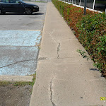 Vieux-port,Donald,Fedex 004.jpg