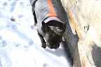 I can barely keep my feet in the snow!