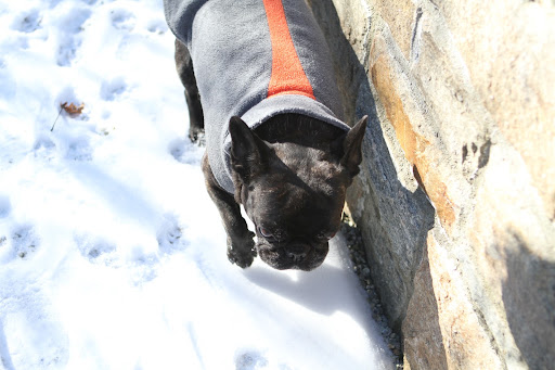 I can barely keep my feet in the snow!