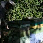 IMG_3396.JPG