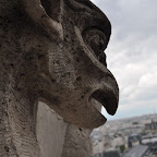 DSC_0176.jpg