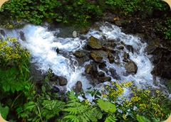 valle d'aosta fiume1 valle d'aosta fiume1