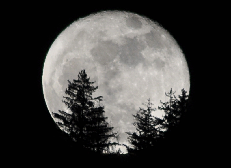 Schermata 2011 03 20 a 22 23 03