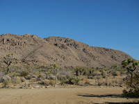 IMG_0758.JPG Photo