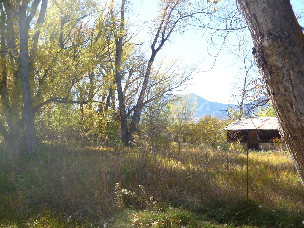 [P1110217%255B4%255D.jpg]