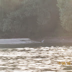 IMG_6472.JPG