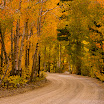 A tunnel of colors.jpg