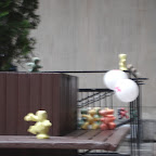 DSC04862.JPG