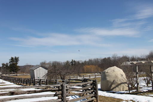 Wow, the crows are making a lot of racket.  What could be bothering them?  Look - over there!  What is that very large bird circling above the paddocks?