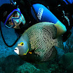 andres w fangel 2.jpg