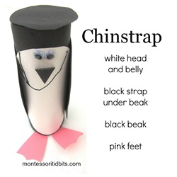 Antartica Chinstrap penguin craft