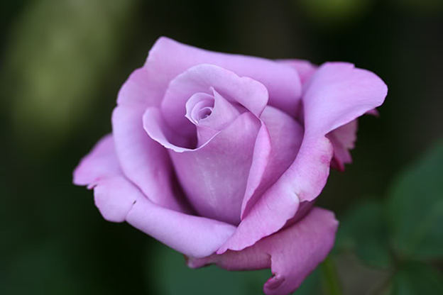 [image%255B3%255D.png]