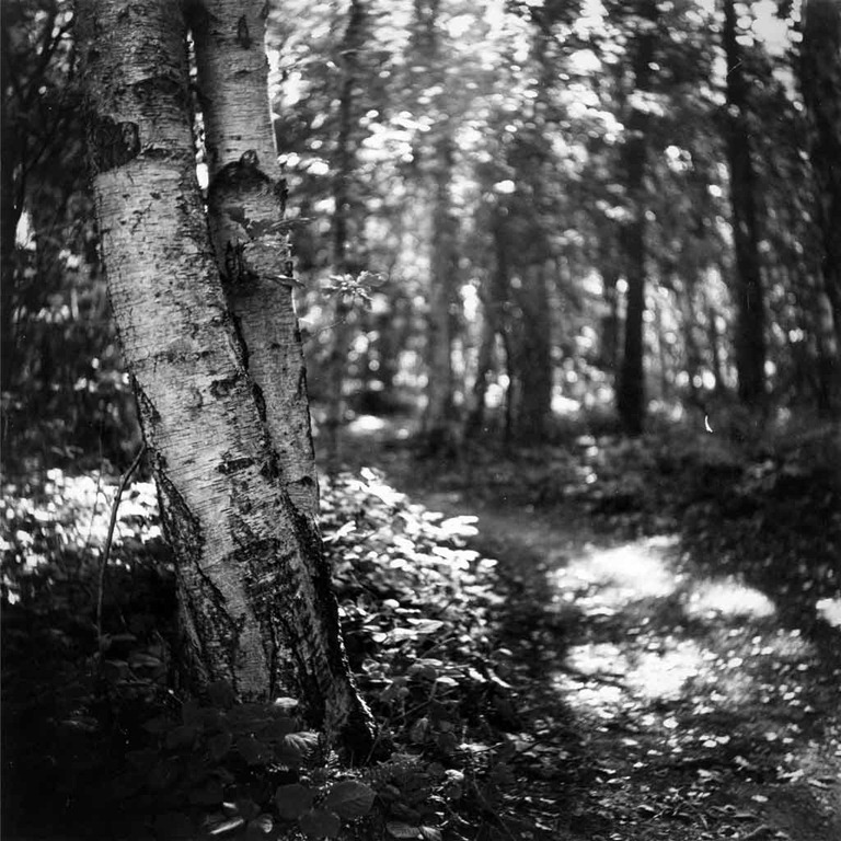 [The-Trees-12%255B3%255D.jpg]