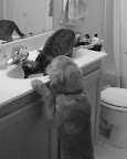 They are supportive...
(Walter and Mojito) They are supportive...
(Walter and Mojito)