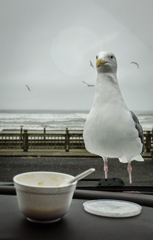 [DSC_0080%255B4%255D.jpg]