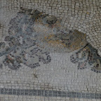 DSCN7382.JPG