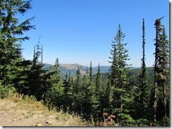 IMG_8146 IMG_8146