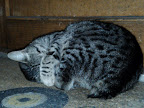 IMG_20120209_123710.jpg
