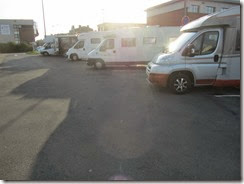 IMG_8648 IMG_8648