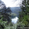Marion Brady - Water Through The Trees.jpg