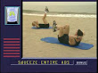 Tony Horton In Beach Training