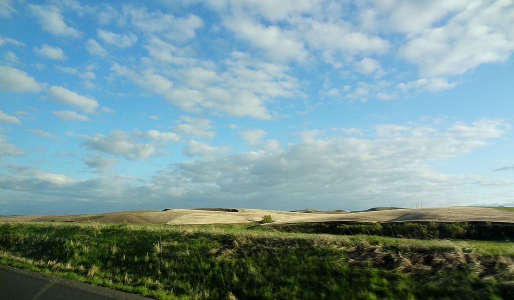 [Palouse%2520WA%252004%255B4%255D.jpg]