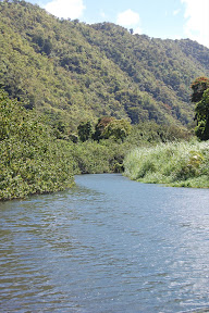 DSC_0334.jpg