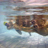 Competició Vilanova (Badia del Vallès) Competició Vilanova (Badia del Vallès)