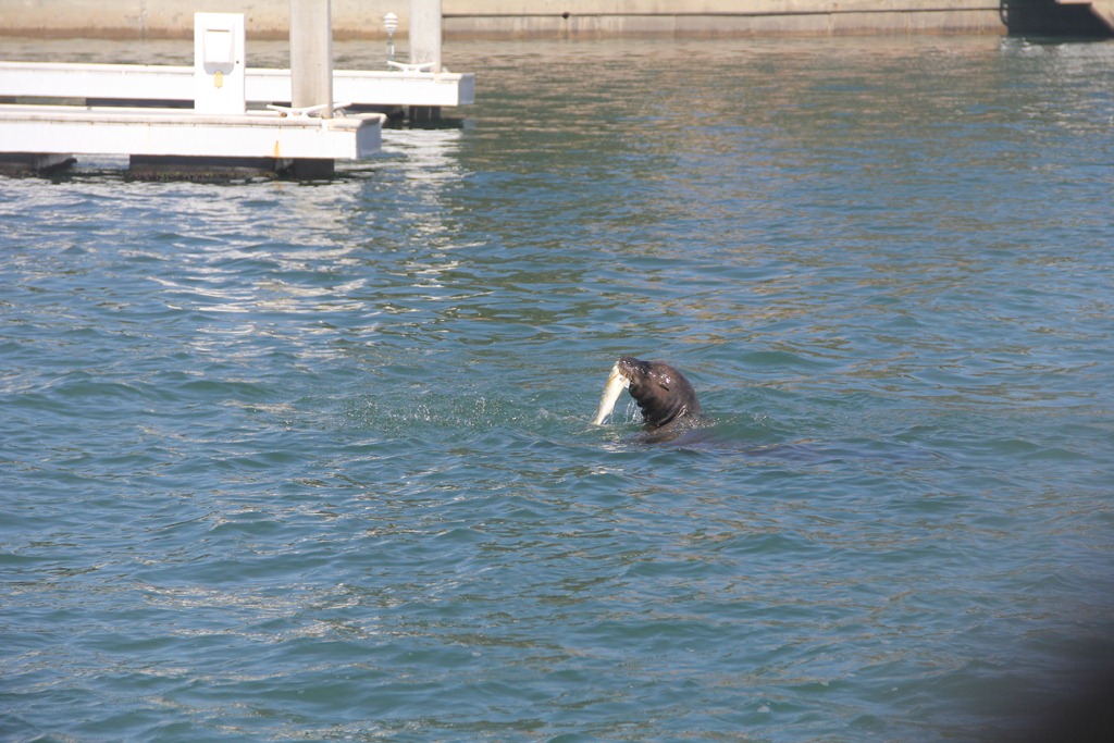 [IMG_3439%255B4%255D.jpg]