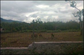 Pucak maros0982 Pucak maros0982