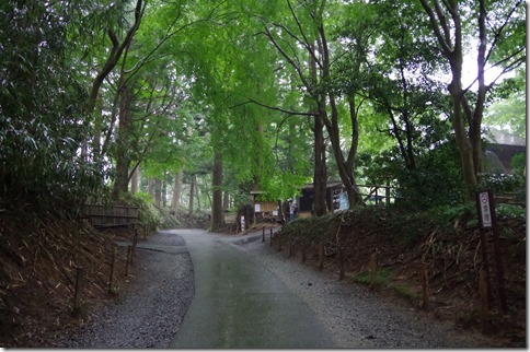 IMGP8341 IMGP8341