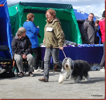 DSC_4251 DSC_4251