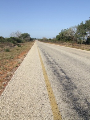 [DSCF8309%255B5%255D.jpg]