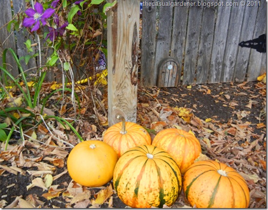 community garden