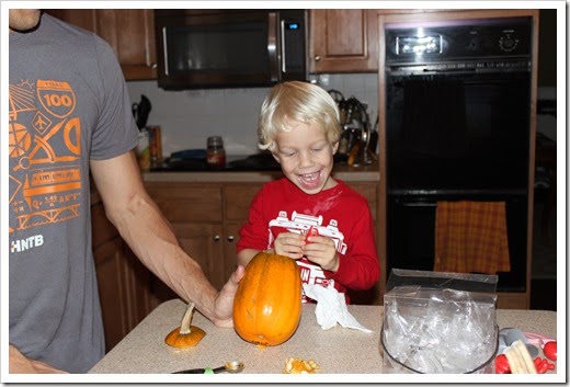 IMG_3519 IMG_3519