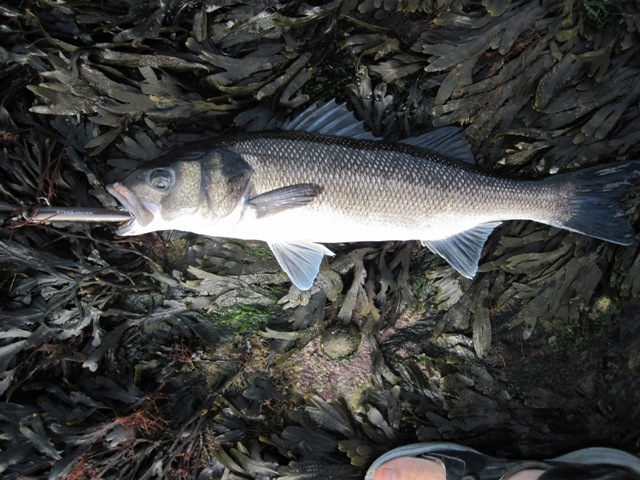 [IMG_0673%255B5%255D.jpg]