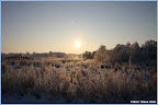 Foto van Steve Smit