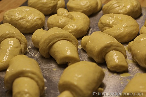 [pumpkin-knot-yeast-rolls_1614%255B8%255D.jpg]