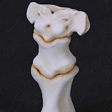 Venus de Vertebra