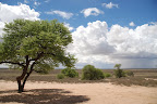 Afrikanische Landschaften Slideshow