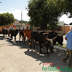 DesfiledeCarrosdeBois2011-052.jpg