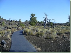 Day17Craters trail