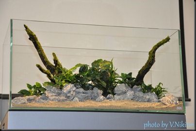 DSC_0117 DSC_0117