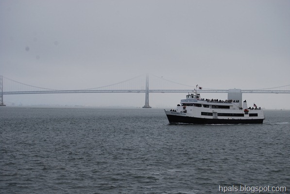 DSC_1910 DSC_1910
