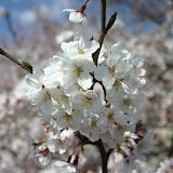 200904042009